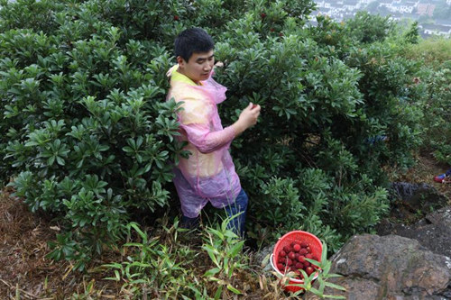 1545187214279625.jpg 說明: 徐茂來(lái)